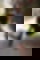 637917869