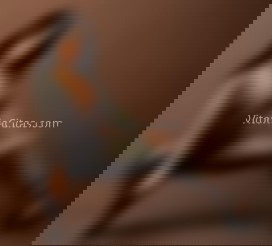 Jazmin, bella latina. 691671770. Citas en VITORIA, VITORIA. www.vitoriacitas.com.