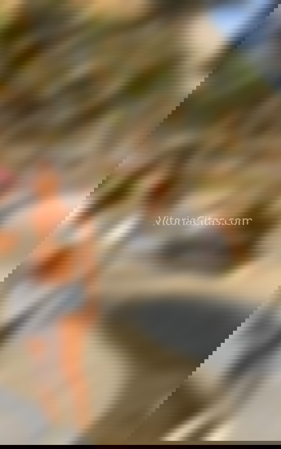 Anne, femenina y delicada . 664381965. Citas en VITORIA, VITORIA. www.vitoriacitas.com.