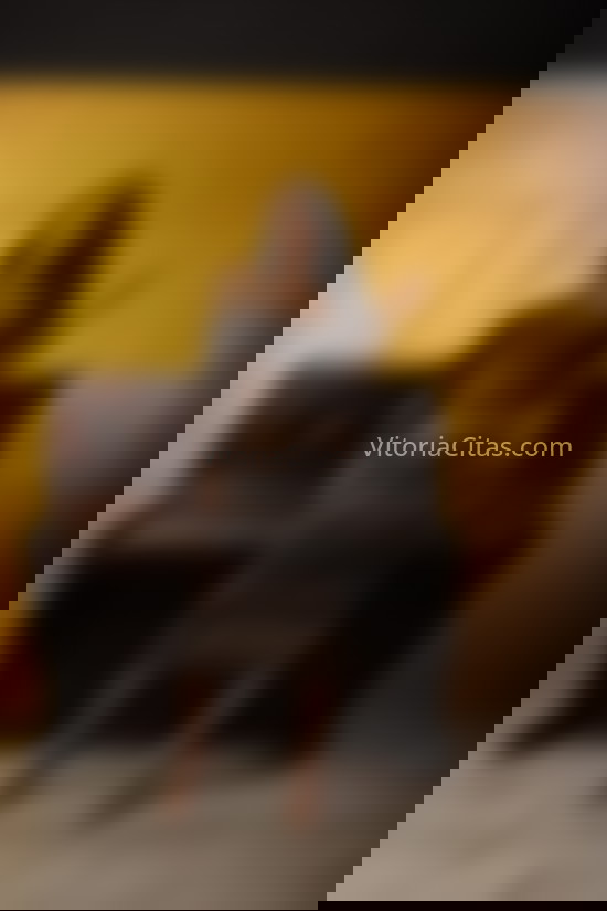 Veronica. 613572655. Citas en VITORIA, VITORIA. www.vitoriacitas.com.
