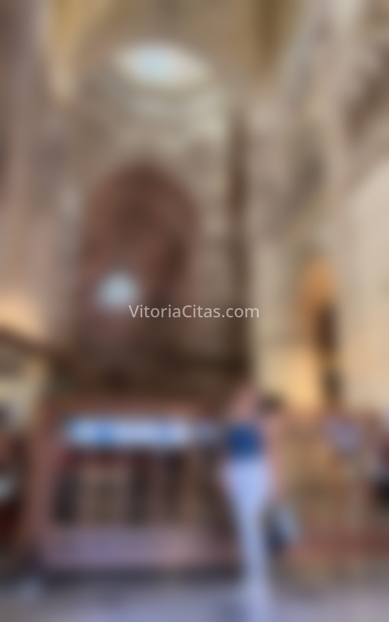 Anahi, jovencita y lujosa . 627027049. Citas en VITORIA, VITORIA. www.vitoriacitas.com.