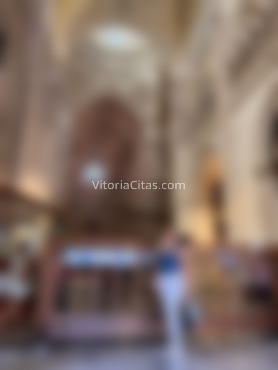Anahi, jovencita y lujosa . 627027049. Citas en VITORIA, VITORIA. www.vitoriacitas.com.