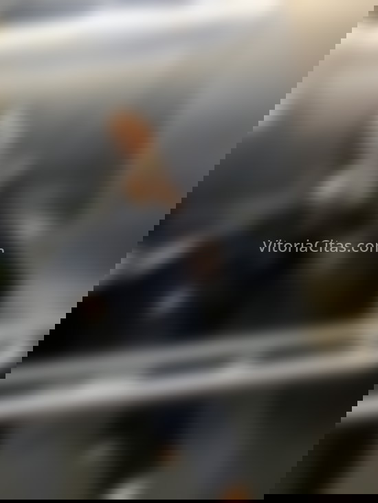 Laura, nueva en la ciudad. 613465116. Citas en VITORIA, VITORIA. www.vitoriacitas.com. Laura, nueva en la ciudad. 613465116. Citas en VITORIA, VITORIA. www.vitoriacitas.com.