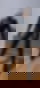 613343555