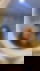 666614705