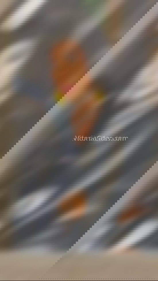 Catalina, extrovertida trans latina. 642020719. Citas en VITORIA, VITORIA. www.vitoriacitas.com.