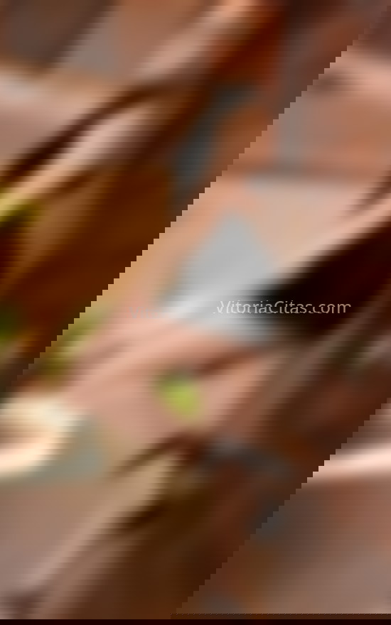 Luna, tu mejor compañera . 624521135. Citas en VITORIA, VITORIA. www.vitoriacitas.com.